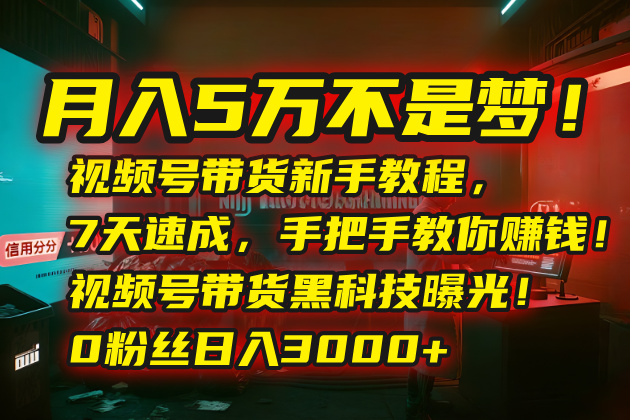 月入5万不是梦！视频号带货新手教程，7天速成，手把手教你赚钱！视频号…-聚业