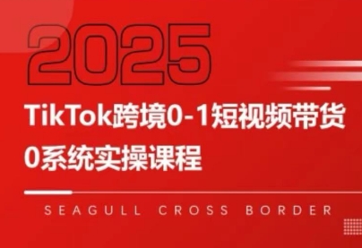 大亿老师·TikTok跨境0-1短视频带货-聚业