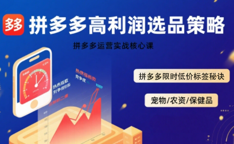 久号老师·拼多多选品暴利技术实战课-聚业