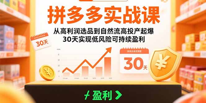 拼多多实战课：从高利润选品到自然流高投产起爆 30天实现低风险可持续盈利-聚业