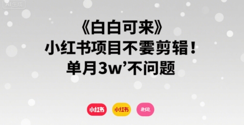 小白可来 小红书项目不需要剪辑 单月3w不是问题-聚业