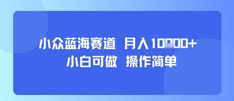 小众蓝海赛道，小白可做，操作简单，每天30分钟，月入1W+-聚业