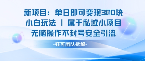 新项目单日即可变现3张的小白玩法无脑操作不封号安全引流-聚业