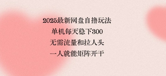 2025最新网盘自撸玩法，单机每天稳下3张，无需流量和拉人头，一个人就可轻松矩阵，全网独一份【揭秘】-聚业