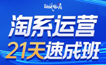 白凤电商·淘系运营21天速成班(更新8月)-聚业