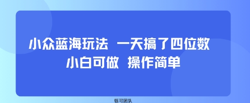 小众蓝海玩法 一天搞了四位数 小白可做 操作简单-聚业