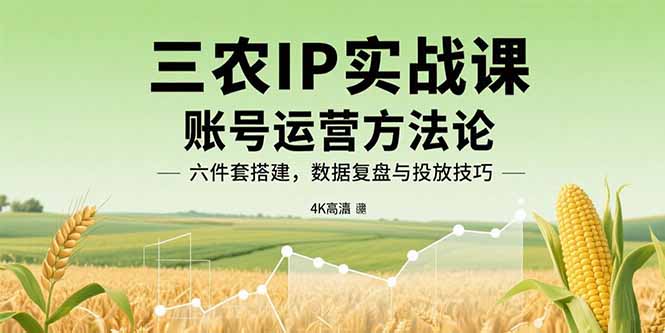 三农IP实战课：账号运营方法论，六件套搭建，数据复盘与投放技巧-聚业