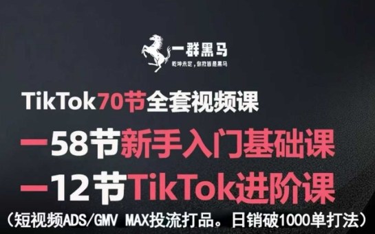 TikTok全套视频课,新手入门+进阶课,短视频ADS-GMV MAX投流打品,日销破1000单打法-聚业