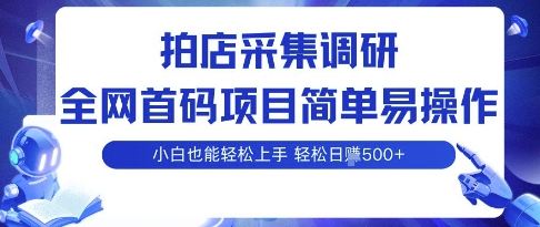 拍店采集调研，全网首码项目，简单易操作， 小白也能轻松上手，多账号操作，轻松日入5张【揭秘】-聚业