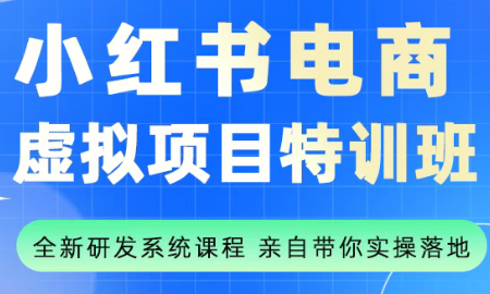 陆明明·小红书虚拟项目特训班(更新9月)-聚业
