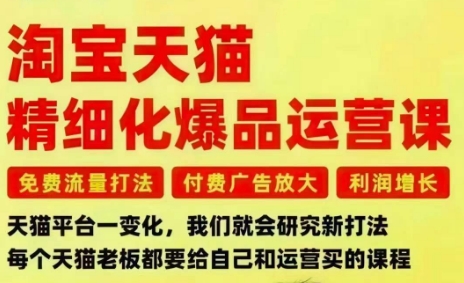 淘宝天猫精细化爆品运营课，免费流量打法-付费广告放大-利润增长-三大核心痛点，一次全部解决-聚业