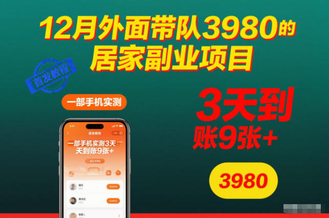 12月外面带队3980的居家副业项目,一部手机实测3天到账9张+,首发教程【揭秘】-聚业