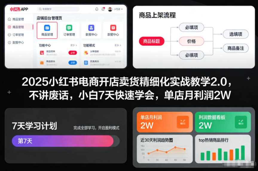 2025小红书电商开店卖货精细化实战教学2.0，不讲废话，小白7天快速学会，单店月利润2W-聚业