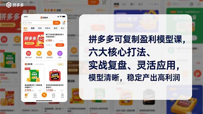拼多多可复制盈利模型课,六大核心打法、实战复盘、灵活应用,模型清晰,稳定产出高利润-聚业
