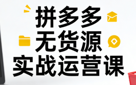 子枫老师·拼多多无货源实战运营课(更新12月)-聚业
