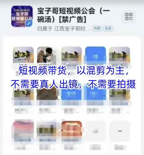 宝子哥头部团队短视频带货,以混剪为主,不需要真人出镜,不需要拍摄【更新12月】-聚业