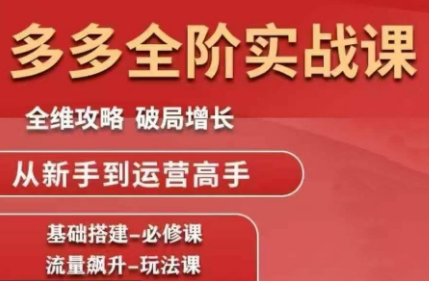 大炮·拼多多全阶实战课程(更新2026)-聚业