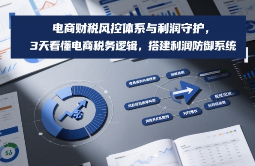 电商财税风控体系与利润守护，3天看懂电商税务逻辑，搭建利润防御系统-聚业
