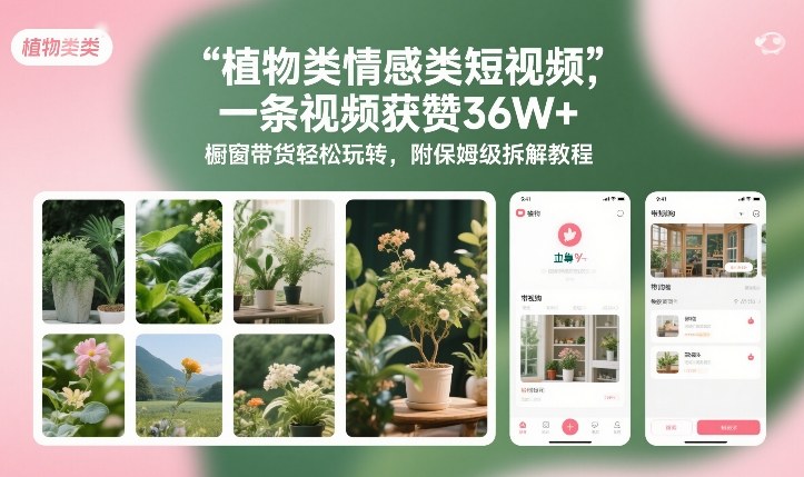 植物类情感类短视频,一条视频获赞36W+,橱窗带货轻松玩转,附保姆级拆解教程-聚业
