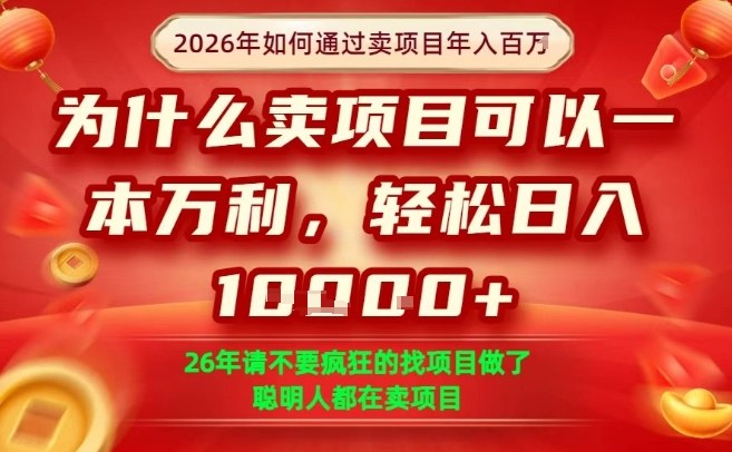 一单净利润1K+,26年想年入100个W,死磕卖项目就够了【揭秘】-聚业