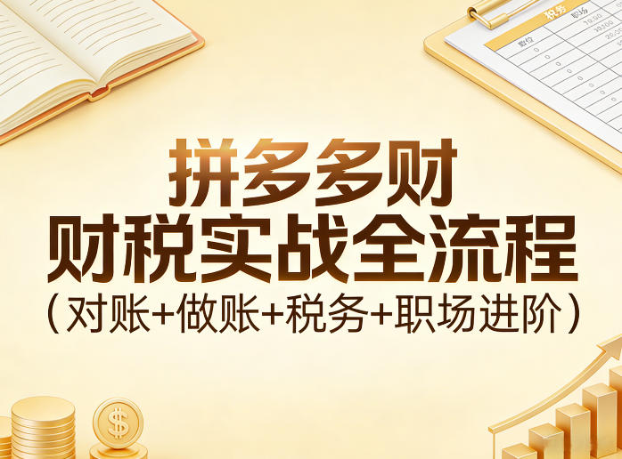拼多多财税实战全流程(对账+做账+税务+职场进阶)-聚业