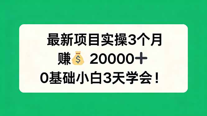 最新项目实操3个月,赚钱20000+,0基础小白3天学会!-聚业