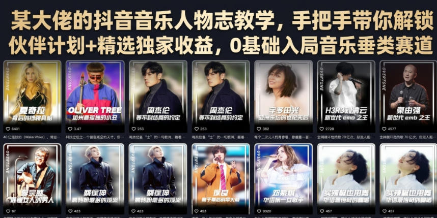 某大佬的抖音音乐人物志教学，手把手带你解锁伙伴计划+精选独家收益，0基础入局音乐垂类赛道-聚业