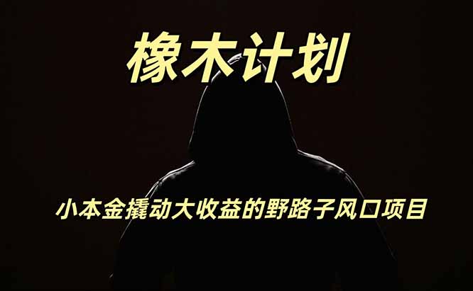 橡木计划,小投入撬动高回报的风口野路子项目,一天投入2小时左右-聚业