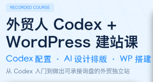 大卫·外贸人Codex + WordPress建站课(更新8月)-聚业