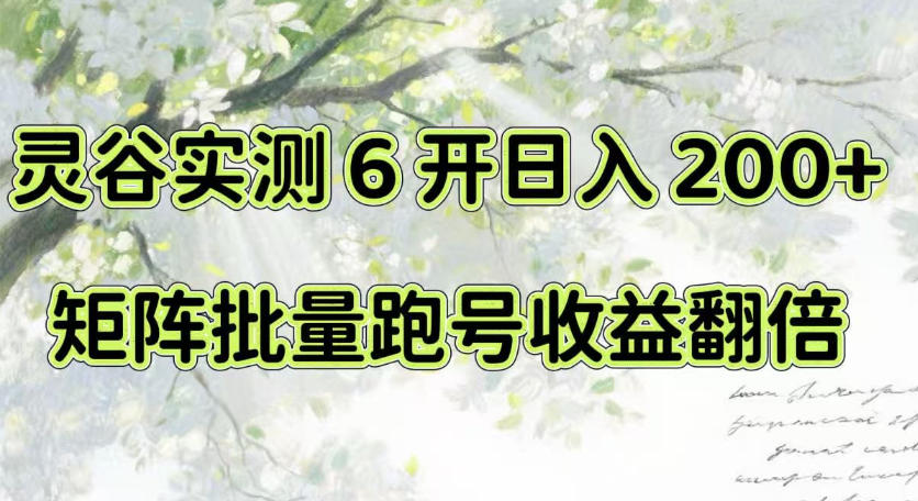 一台电脑就能做！灵谷实测6开日入200+，矩阵批量跑号收益翻倍【揭秘】-聚业