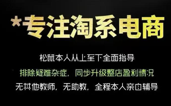 松鼠会电商VIP课程,从基础布局到高阶优化,助你掌握淘宝运营逻辑,提升店铺流量与转化(更新0910)-聚业